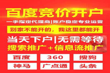 竞价广告与自然搜索的结合策略：XX网站的案例分析